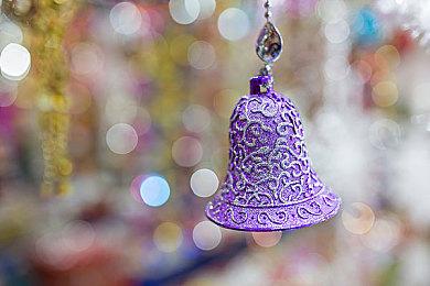 《潜水员戴夫》一周年庆，全新内容更新！